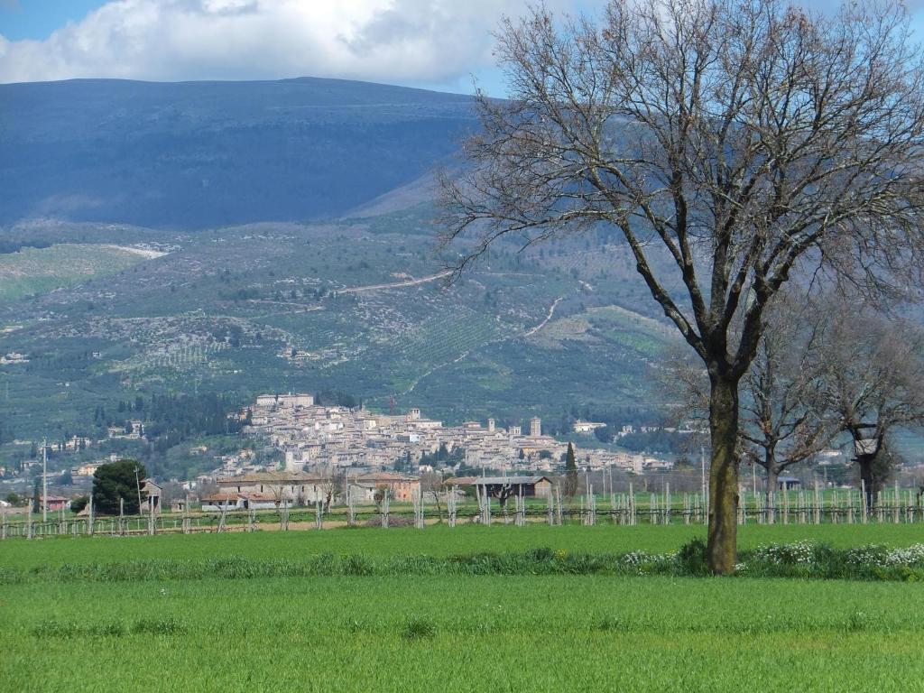 Cascina Antonini Guest House Foligno Bagian luar foto